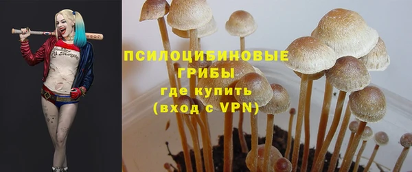 сатива Михайловка