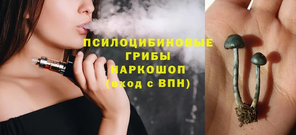 крисы Медвежьегорск