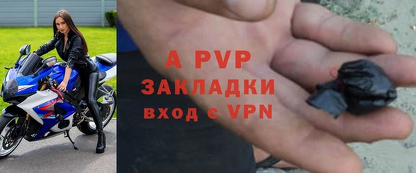 крисы Медвежьегорск