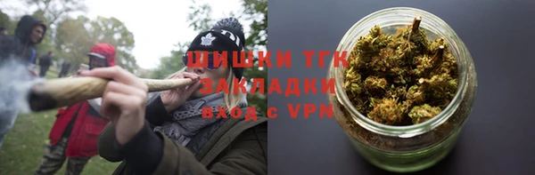 сатива Михайловка