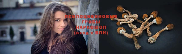 PSILOCYBIN Медногорск