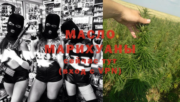 сатива Михайловка