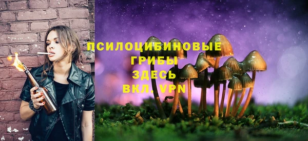 PSILOCYBIN Медногорск