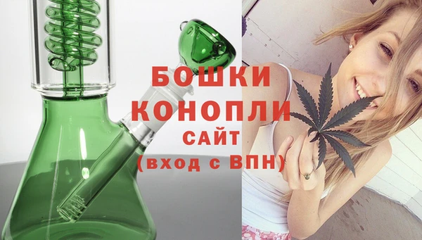 крисы Медвежьегорск