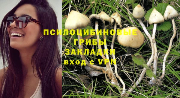 кристаллы Мегион