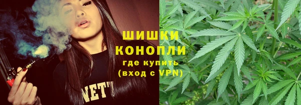 молекула духа Михайлов