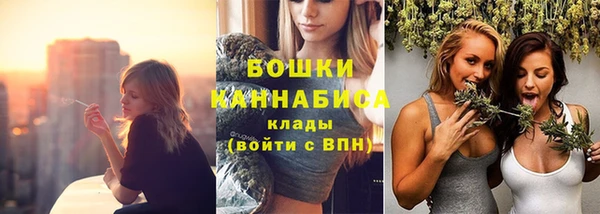 молекула духа Михайлов