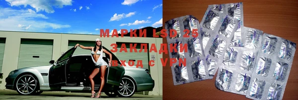 сатива Михайловка